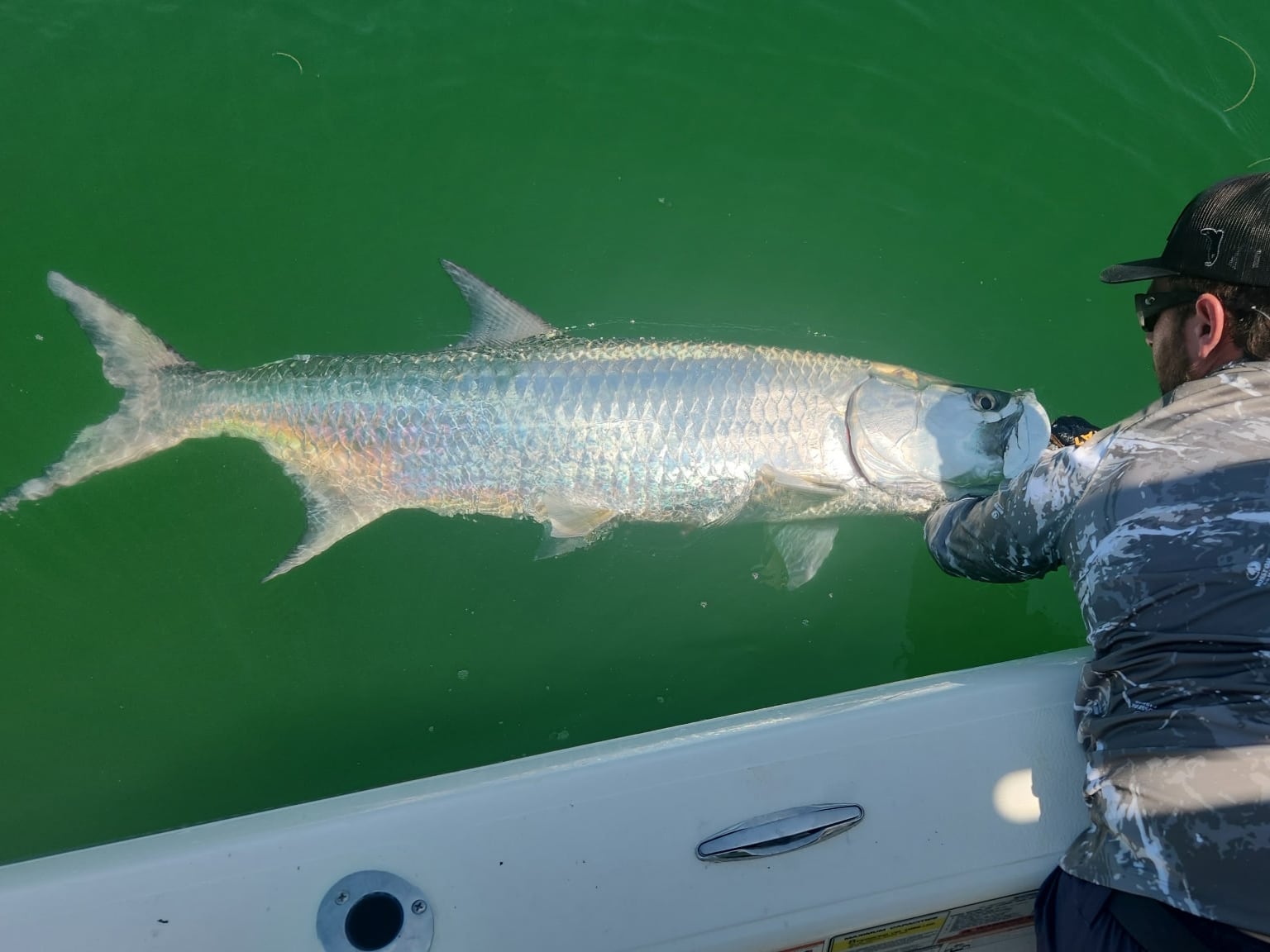 The Pasco & North Pinellas Fishin' Report: It's time to target tarpon